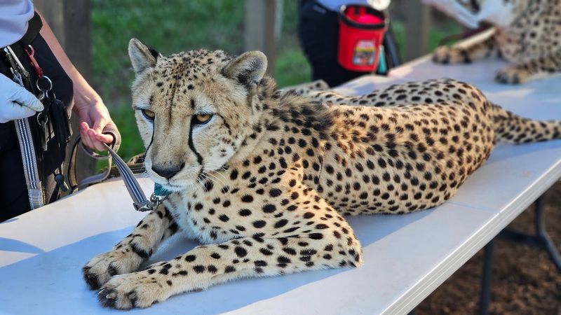 Sanctuary Layout and Habitats