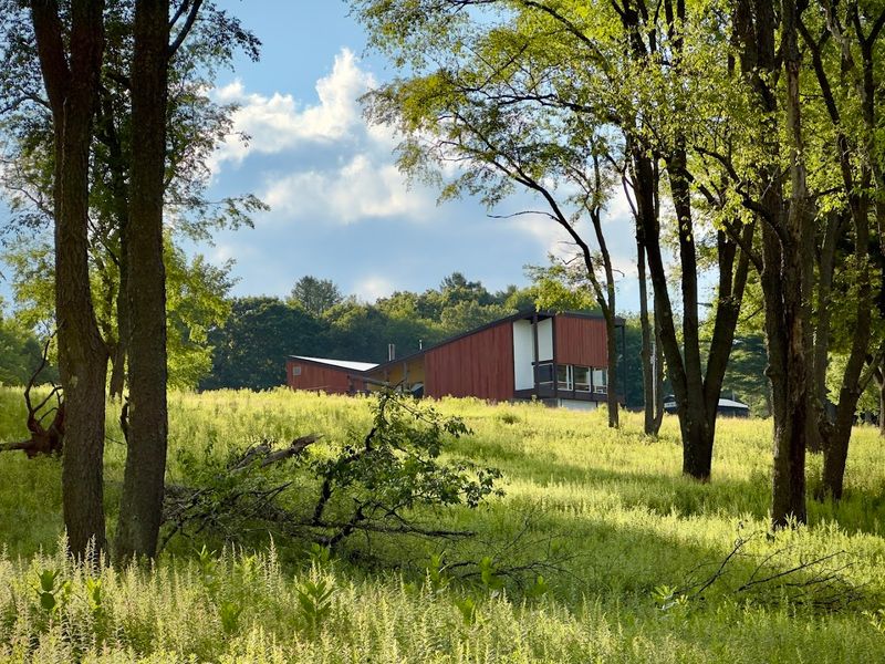 Fires, Financial Panic, and Decline