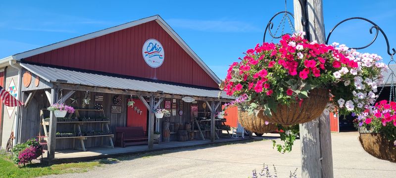 Annual Fall Festival and Harvest Host Destination