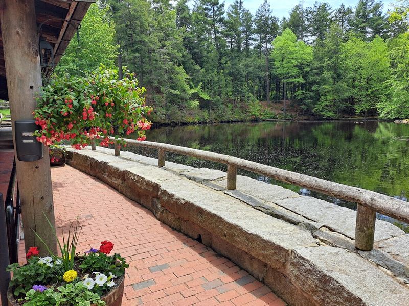 Seasonal Beauty and Year-Round Reasons to Return