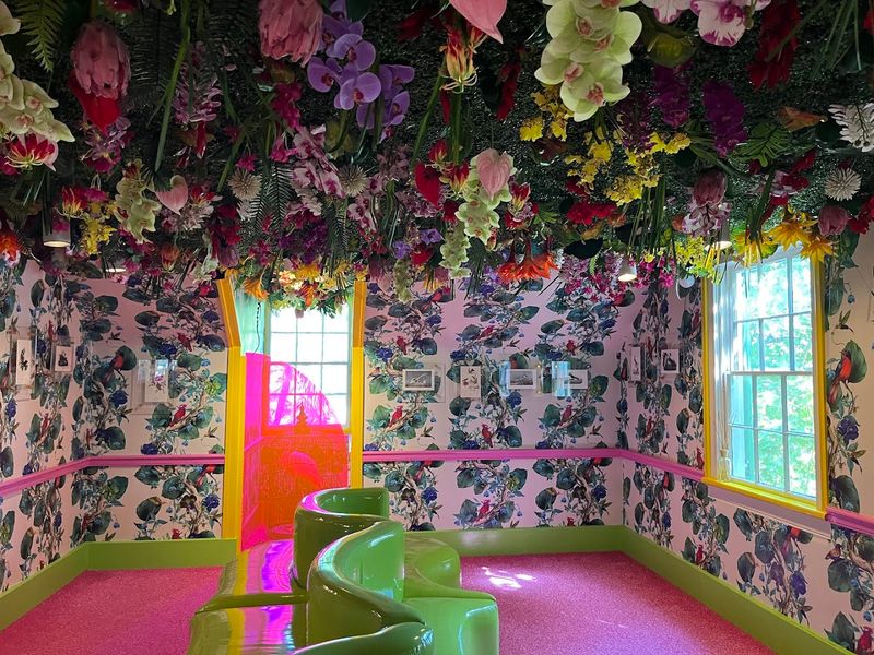 The Whimsical Bird-Themed Room
