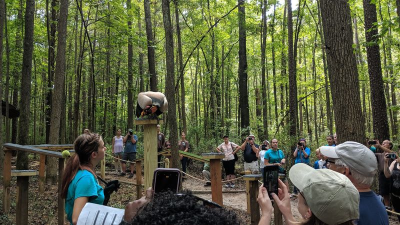 Educational Programs and School Group Visits