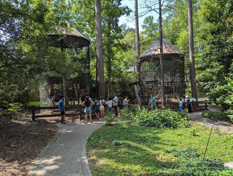 Planning Your Visit: Tickets, Hours, and Tips