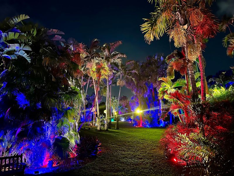 Special Events: Concerts, Light Shows, and Weddings