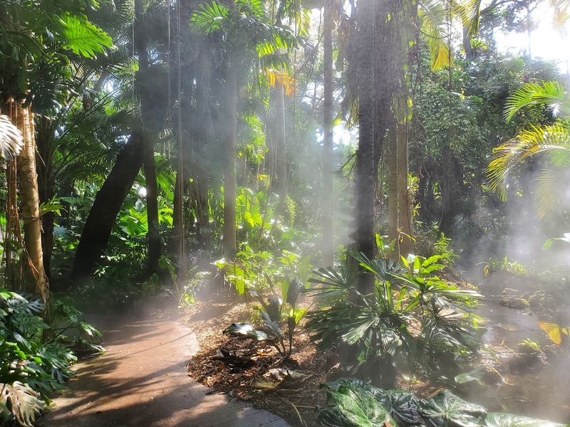 The Tropical Rainforest Exhibit