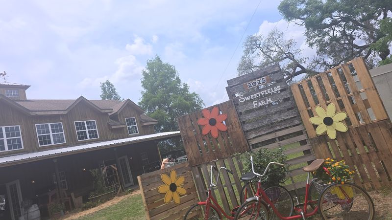 The Farm Stand Where the View Explains the Produce