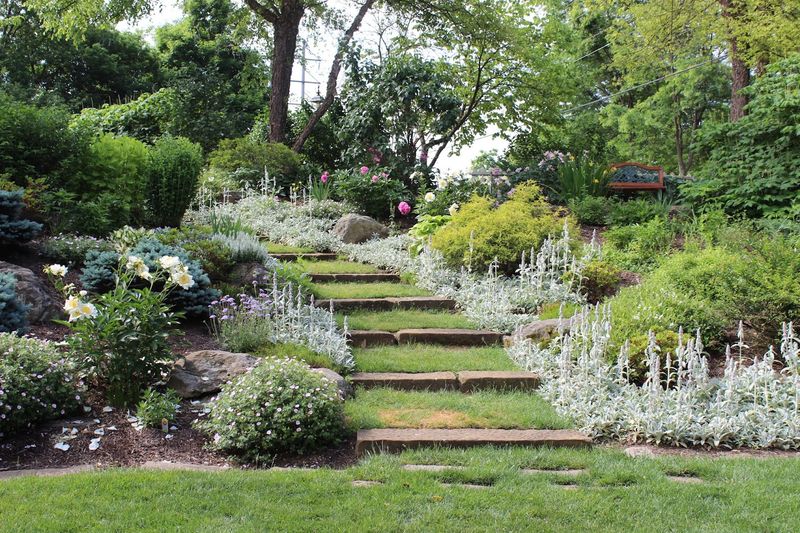 Strolling the Gardens and Scenic Grounds