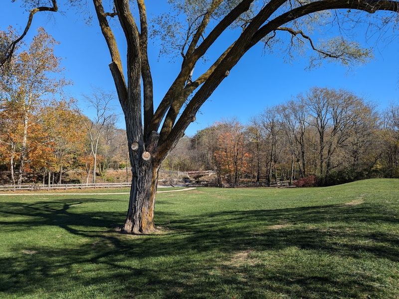 Picnic Areas and Shelter for Relaxing Visits