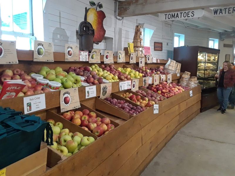 Fresh Local Apples and Orchard Produce