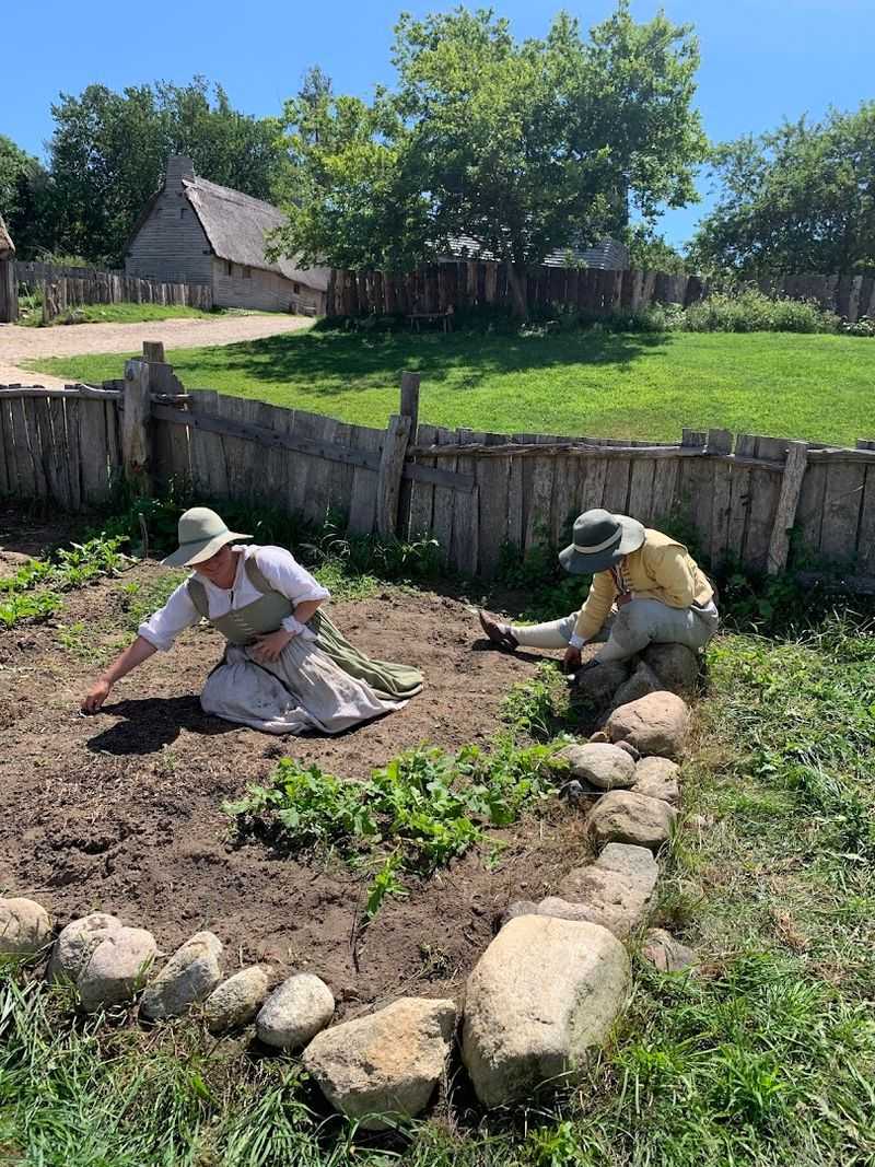 The Colonial Gardens and Livestock