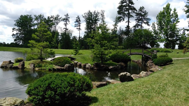 The Japanese Garden