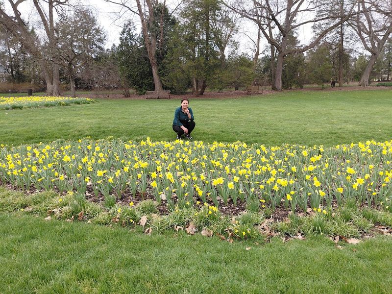 Year-Round Blooms and Seasonal Transitions