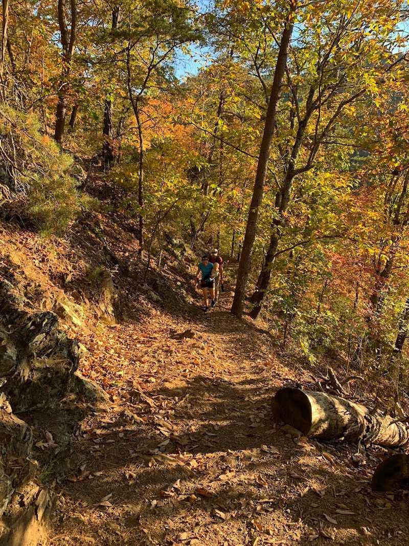 Hiking Trails Beyond the AT: Hidden Gems Around Hot Springs