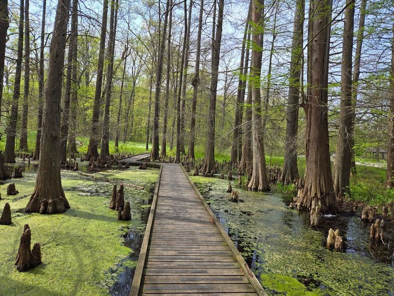 Miles of Scenic Hiking Trails