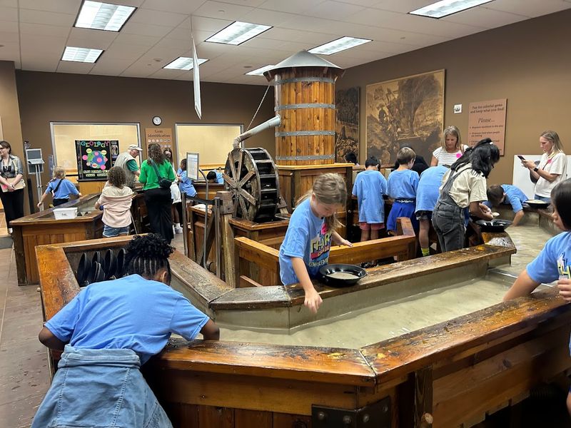 Hands-On Gem Panning and Fossil Digging