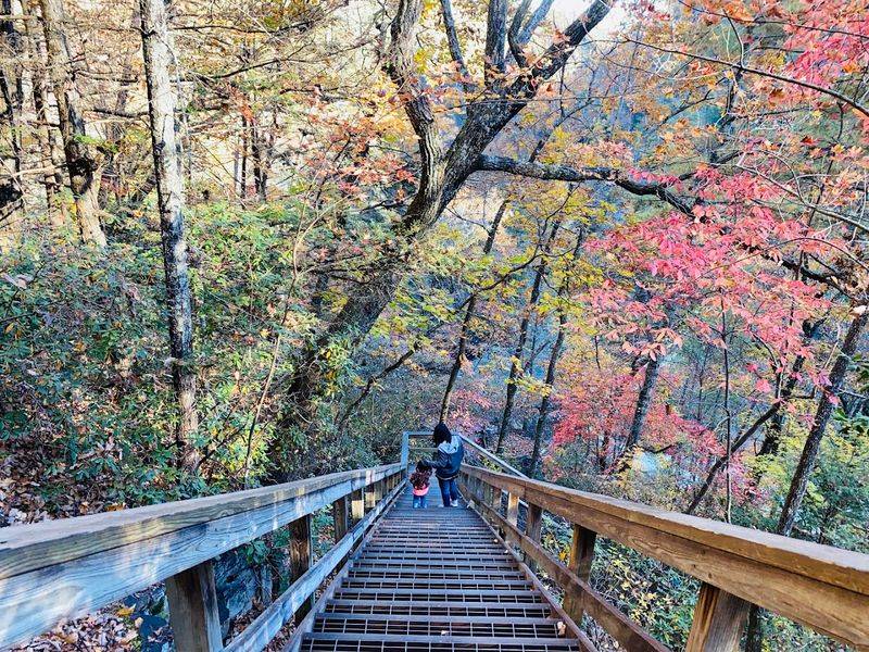 The Staircase to the Gorge Floor