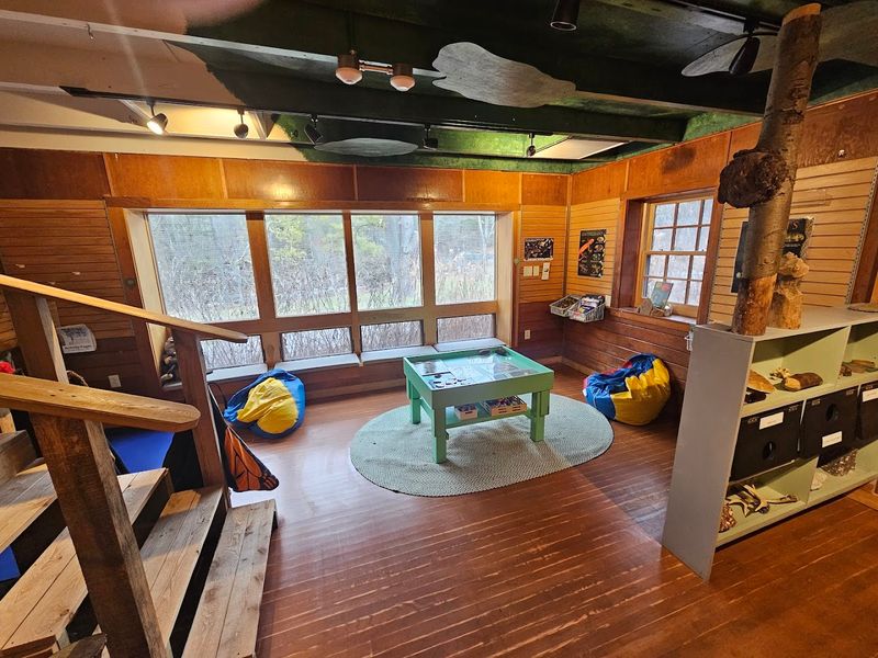 Hands-On Learning at the Discovery Room