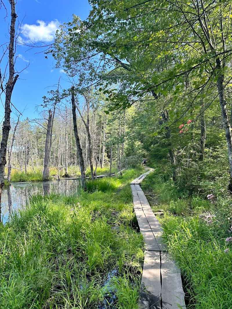 Mount Watatic (Ashburnham)