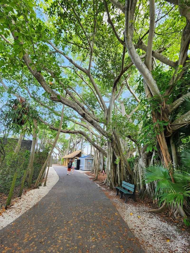 Beautiful, Shaded Walking Paths Perfect For All Ages