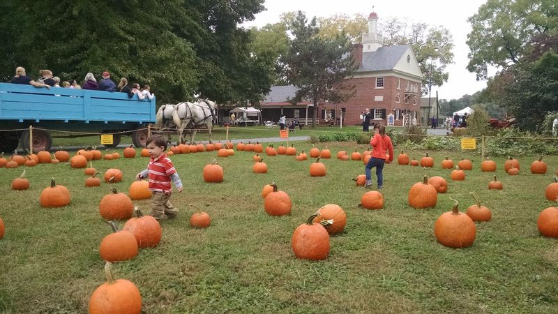 Seasonal Events and Fall Festival