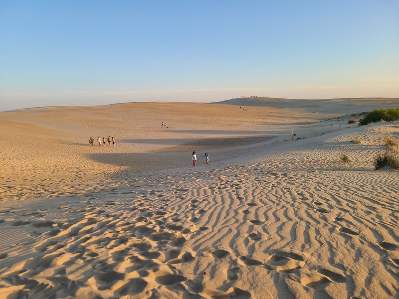 The Tallest Sand Dune on the East Coast
