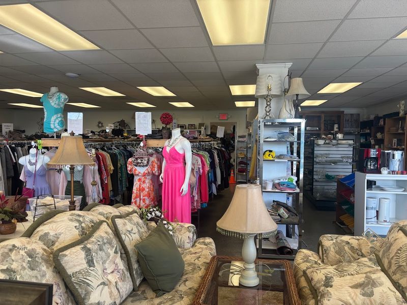 A Goldmine for Thrift Hunters and Resellers