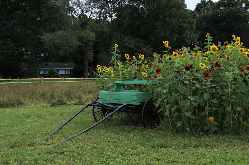 A Slow Place With Picnic Tables and Open Air
