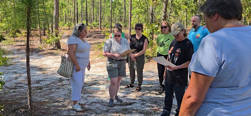 Who Uses the Park and When