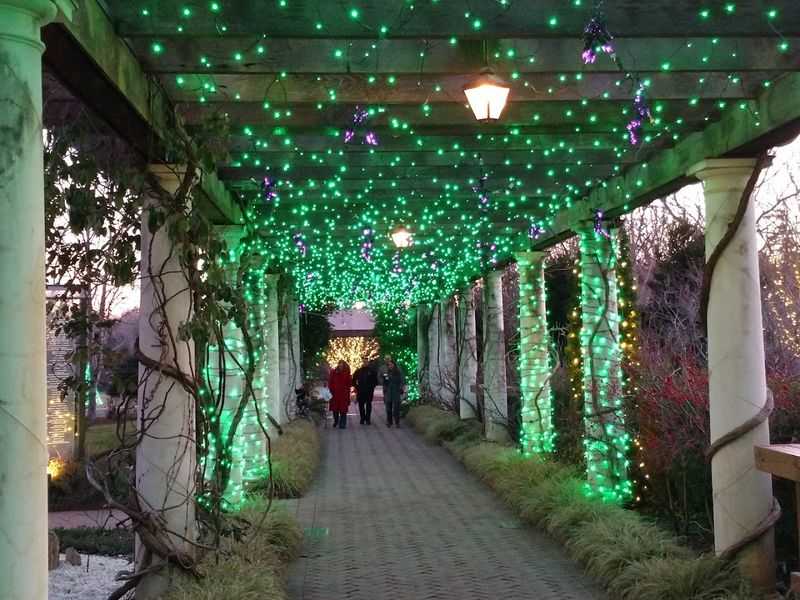 Peaceful Nature Trails and Walking Paths