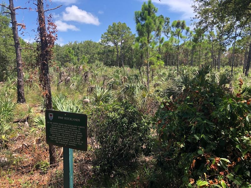 444 Acres of Diverse Ecosystems: From Hardwood Hammocks to Pine Rocklands