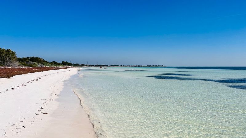 Shell Finding and Beach Combing