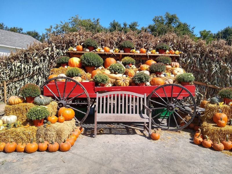 Timing Your Visit Can Change The Whole Experience