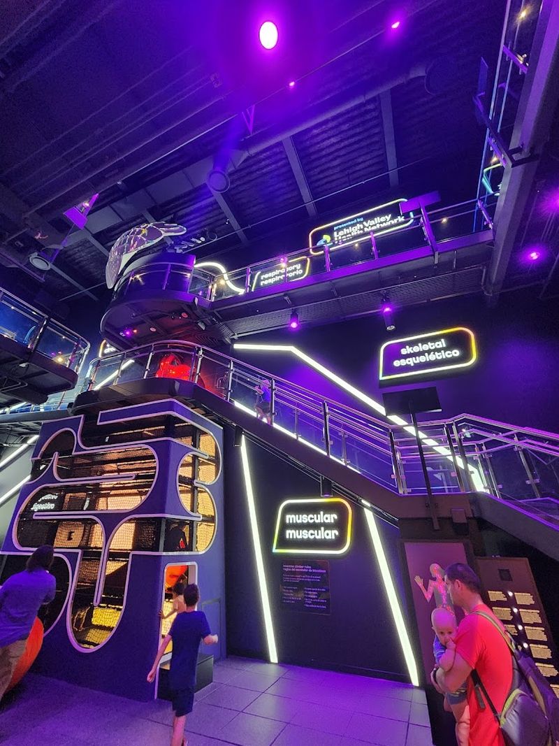 The Human Body and Digestive System Crawl Playground