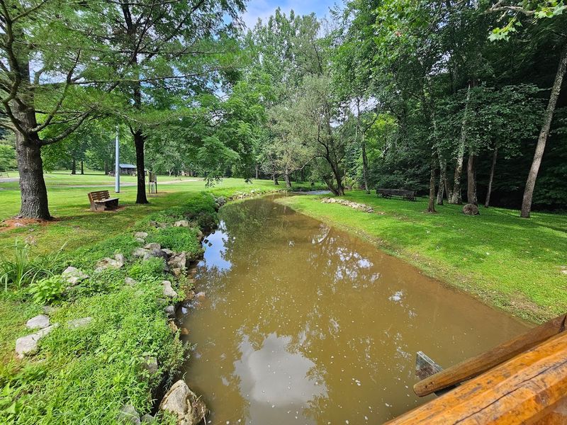 The Scenic Creek and Peaceful Outdoor Setting