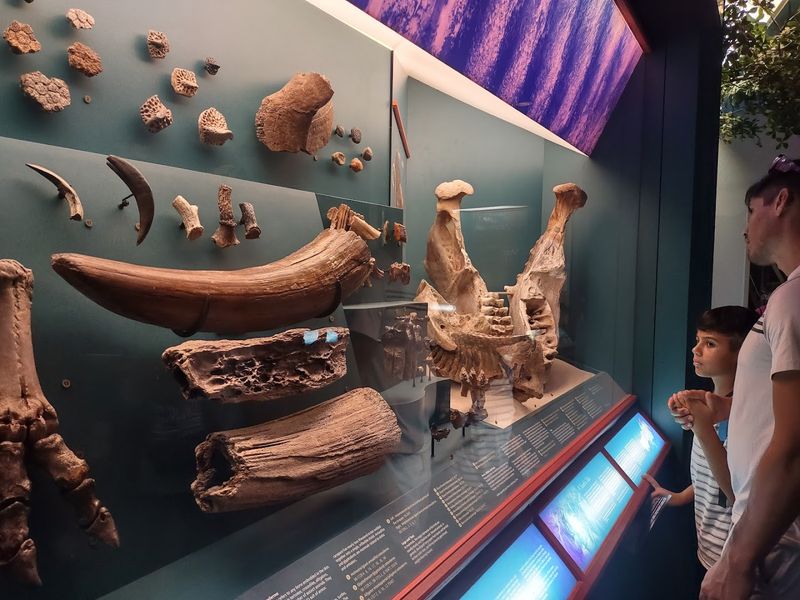 Rotating Temporary Exhibition Gallery