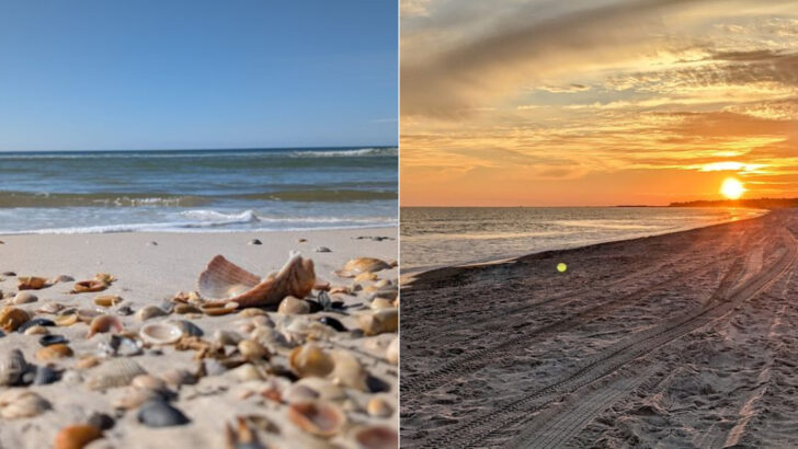 The Most Secluded Beach in Florida Is on a Skinny Peninsula in the Panhandle Where the Road Ends and the Sand Just Keeps Going