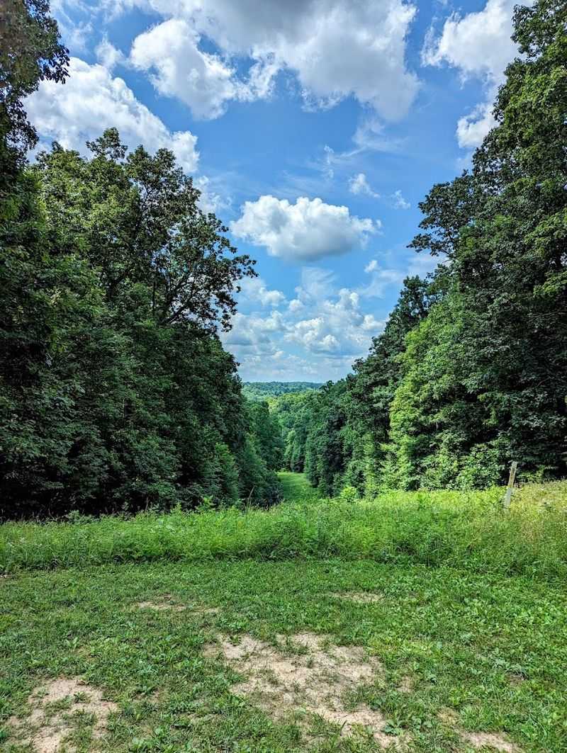 A Metro Park That Feels Miles Away From Civilization