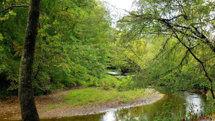 The Most Wild and Remote Metro Park in Ohio Feels Like Trading the Midwest for the Mountains in Under an Hour