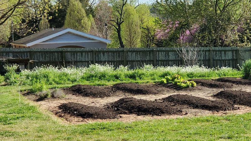 Old Salem Gardens: Where Heirloom Plants Grow Just as They Did Centuries Ago