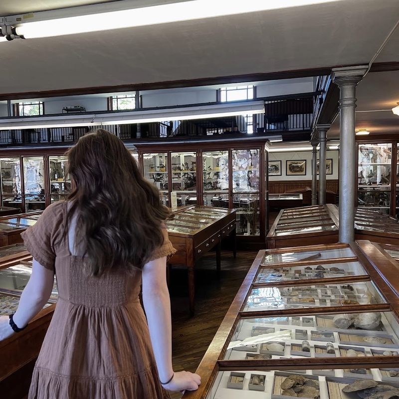 Guided Tours and Staff Expertise