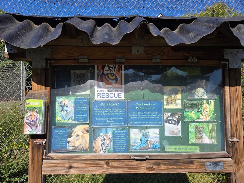 The Exotic Pet Trade Is The Uncomfortable Thread Running Through Everything