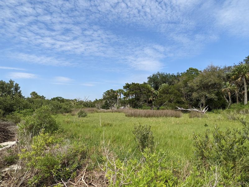 A Haven for Wildlife and Birdwatching