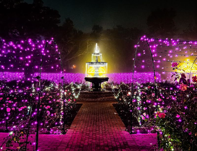 Year-Round Events and the Magic of Seasonal Celebrations