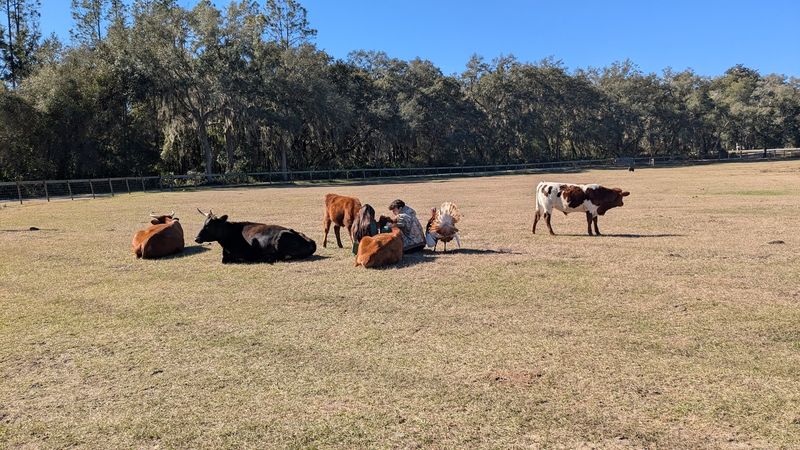 Elaine West and the Dedicated Sanctuary Team