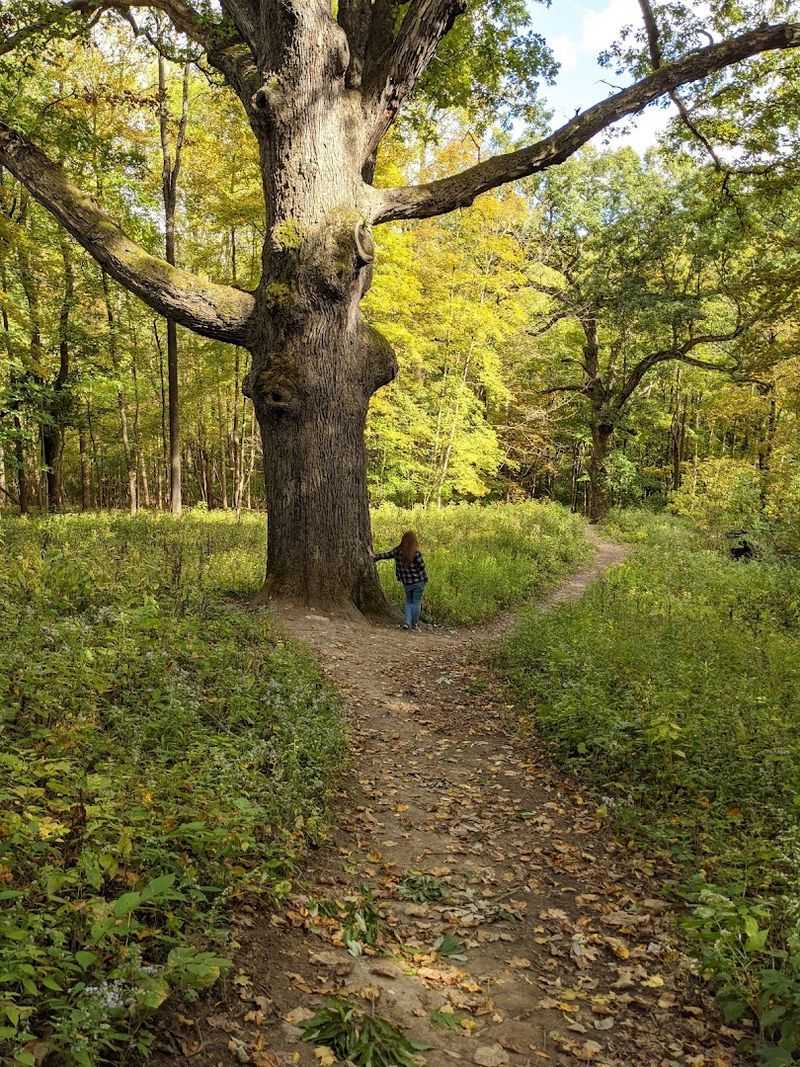 The Orange Trail Experience