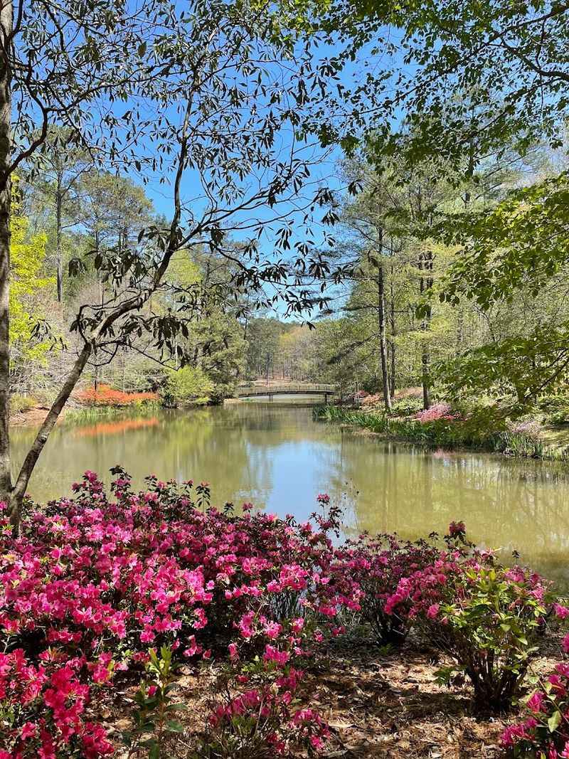 A Carefully Designed Woodland Landscape