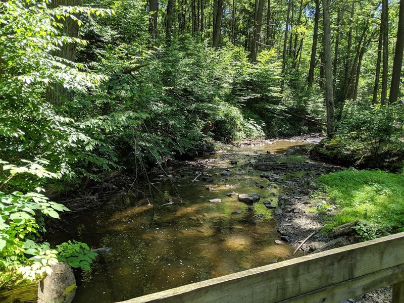 Leave No Trace and Local Courtesy