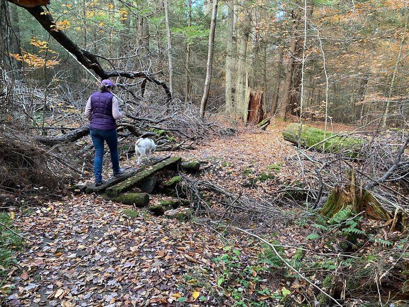 The Best Seasons to Visit Hearts Content and What Each One Offers