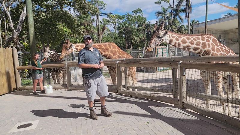 The Knowledgeable And Passionate Zoo Staff And Volunteers