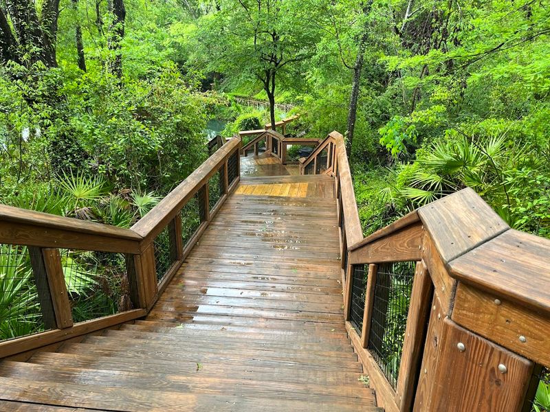 Scenic Boardwalks and Viewing Platforms